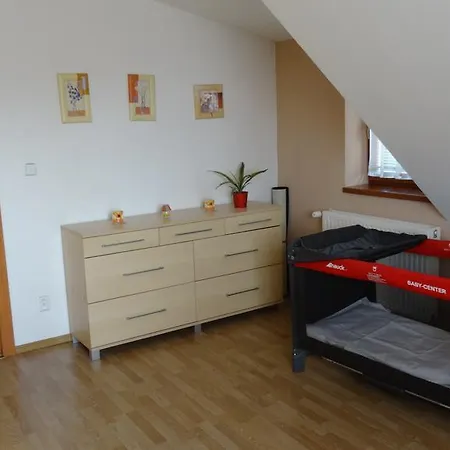Rosa Veselí nad Lužnicí